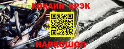 СК Тара